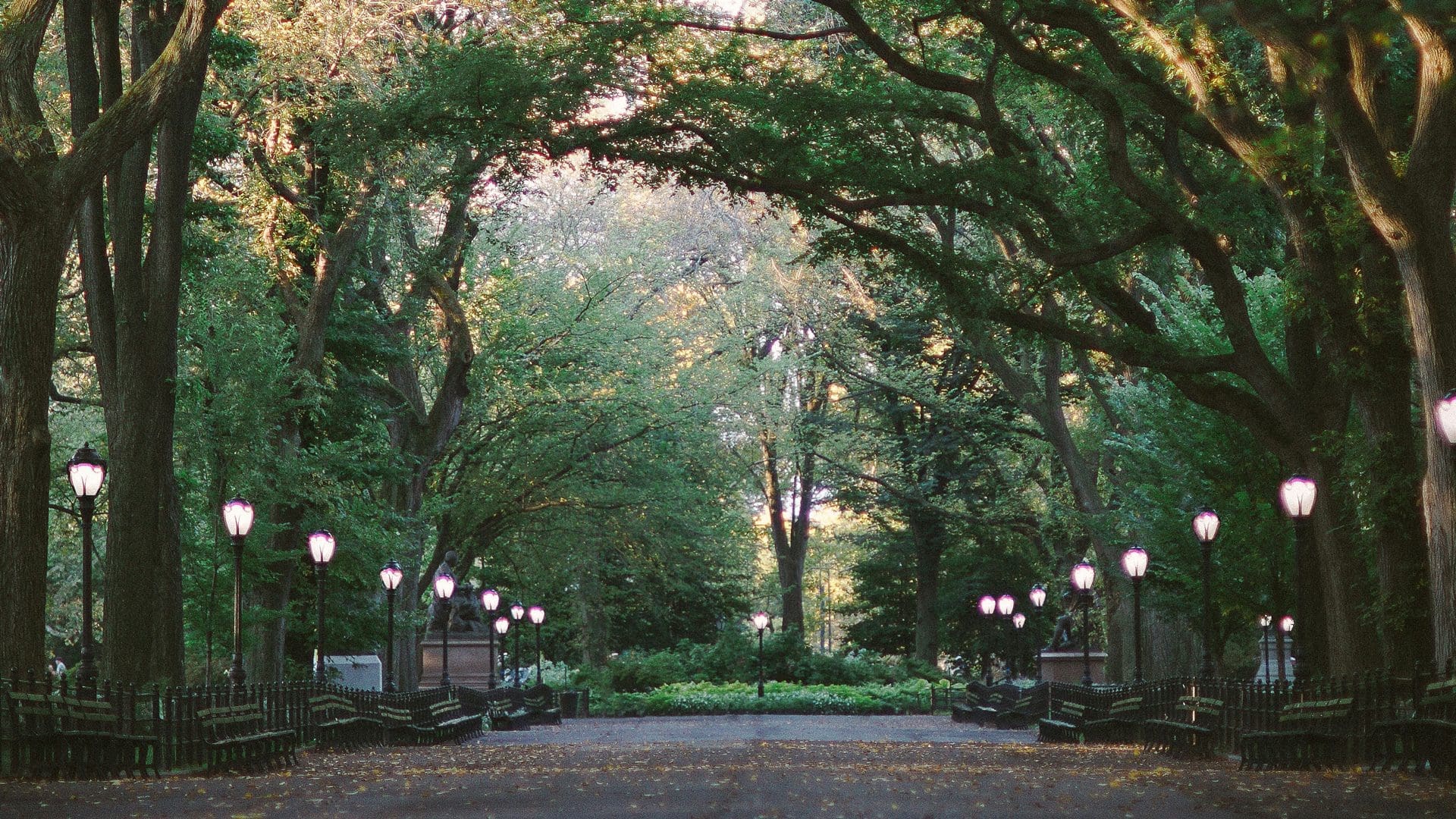 Photo of the Central Park Mall - Bens Bagel Tours.